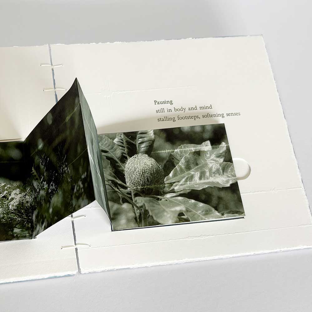 Time spent amongst trees is never wasted time - artist book