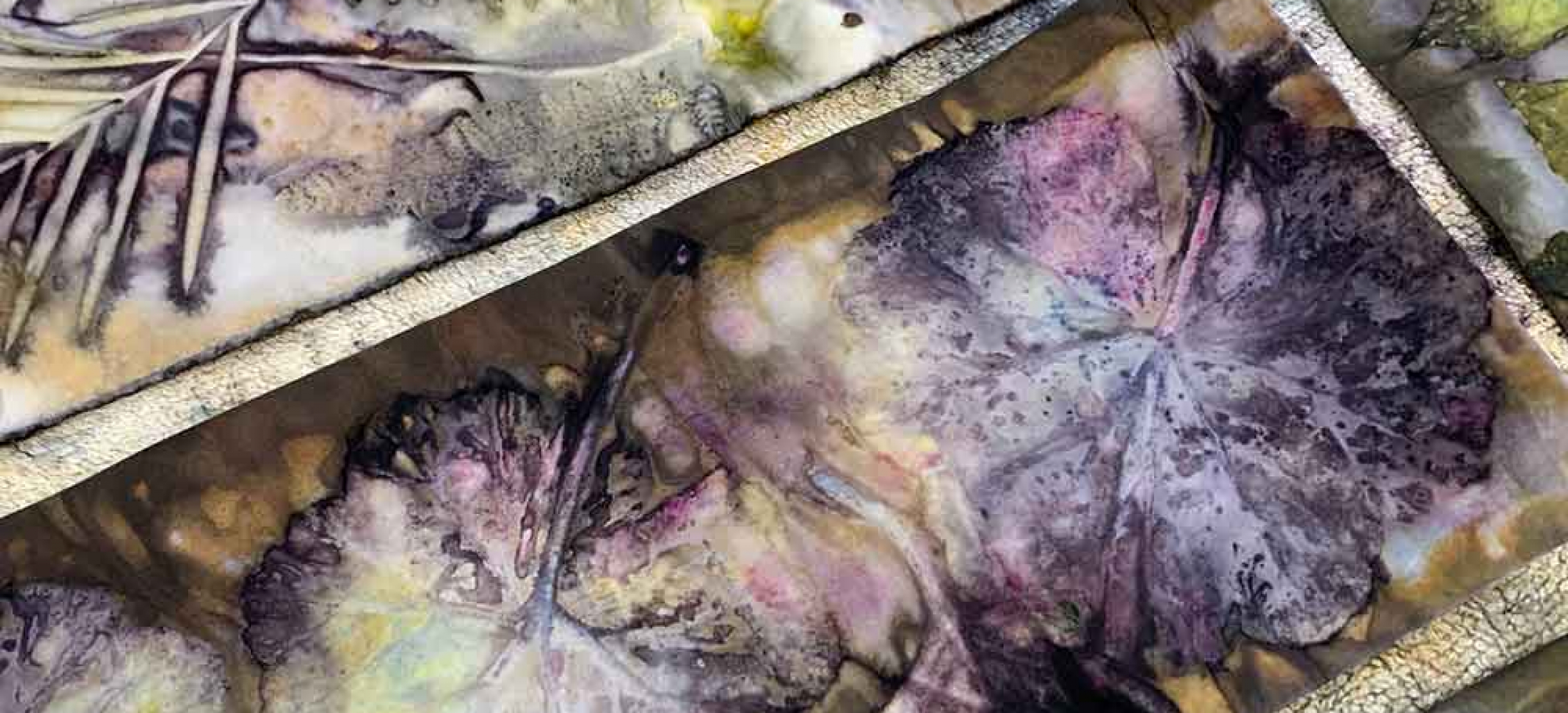 Ecoprinting on Paper April 2023 Kim Herringe